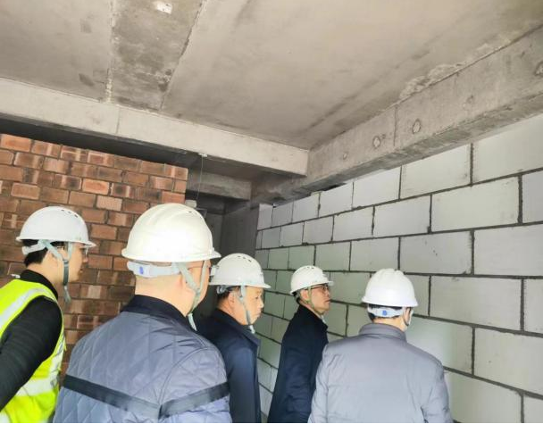 公司黨委書記、總經理李梅軒一行來到廬陵悅瀾灣項目現場視察